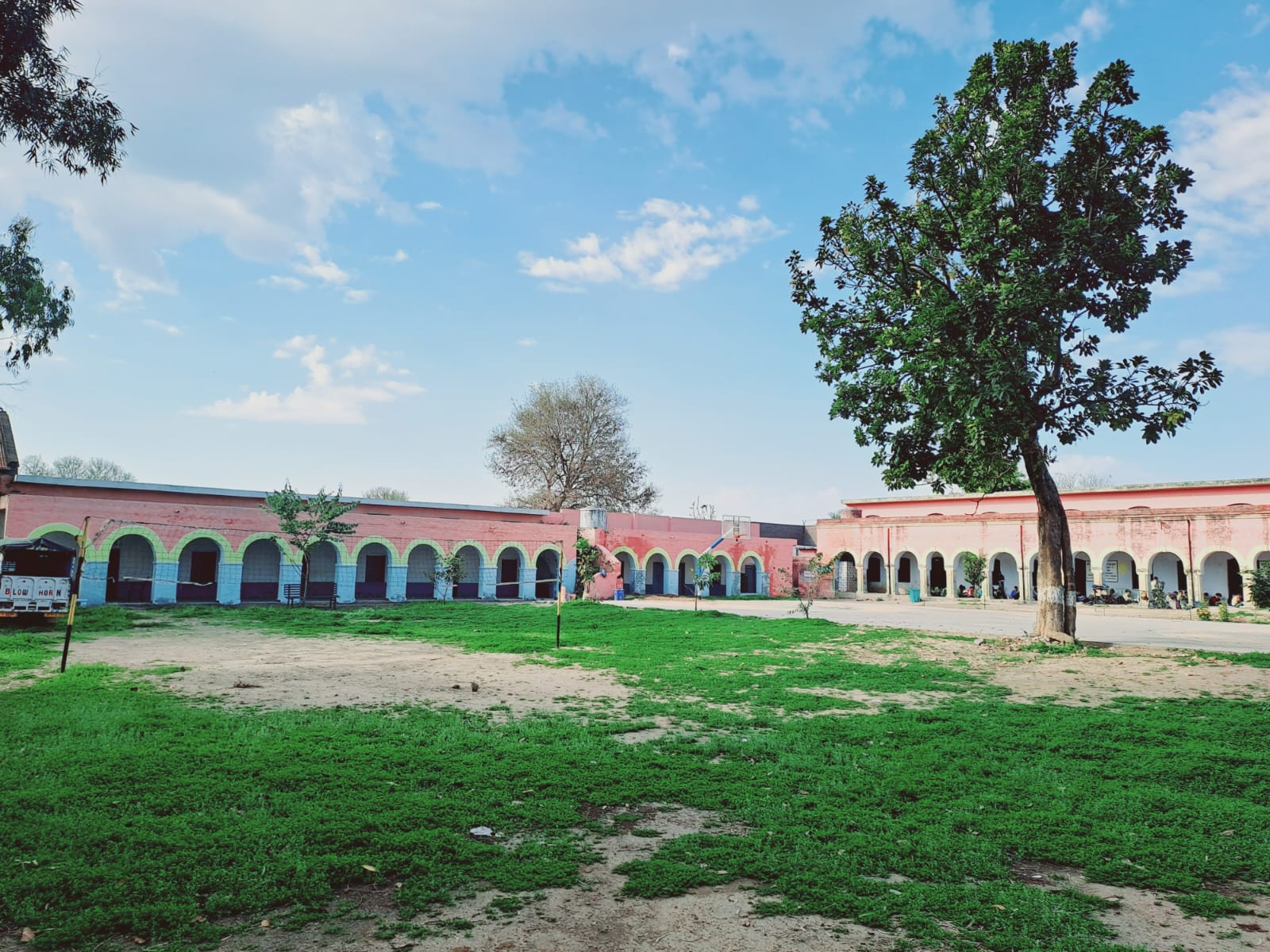 School Nature Environment